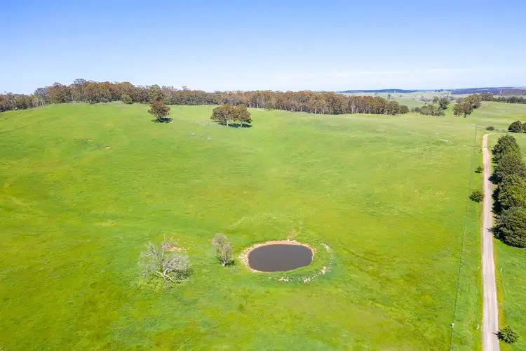 Seventh view of Homely rural property listing, 1696 Abercrombie Road, Black Springs NSW 2787