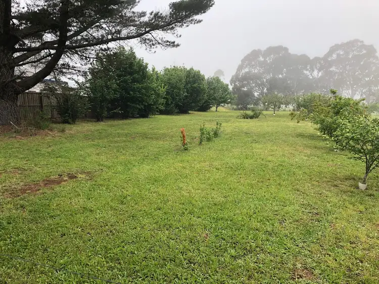3 Ebor Street, Ebor NSW 2453