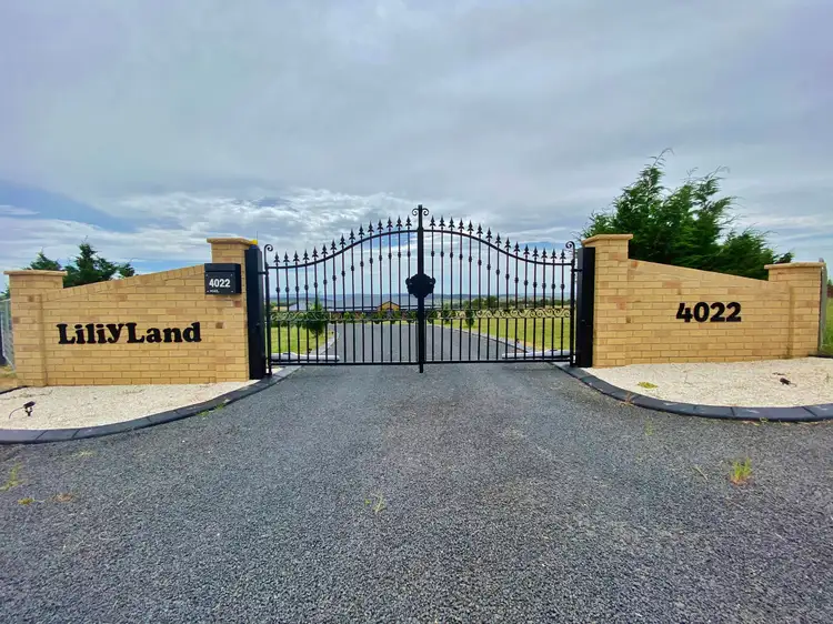 4022 Murringo Road, Young NSW 2594
