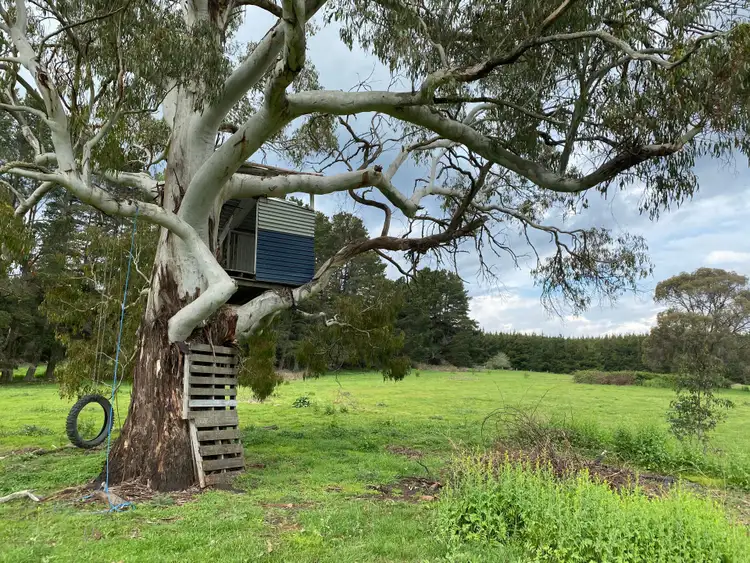 Seventh view of Homely rural property listing, 225 Brass Walls Road, Porters Retreat NSW 2787