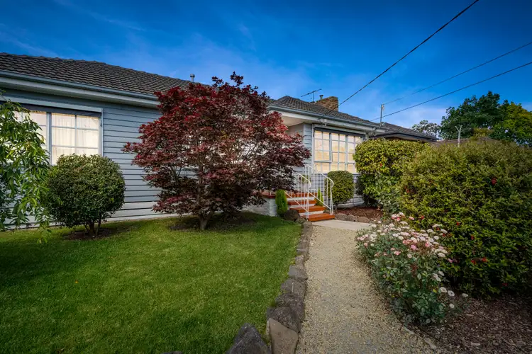Main view of Homely house listing, 13 Moira Avenue, Ferntree Gully VIC 3156