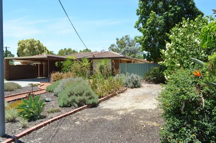 Third view of Homely semi-detached listing, 31A Hibiscus Road, Maddington WA 6109