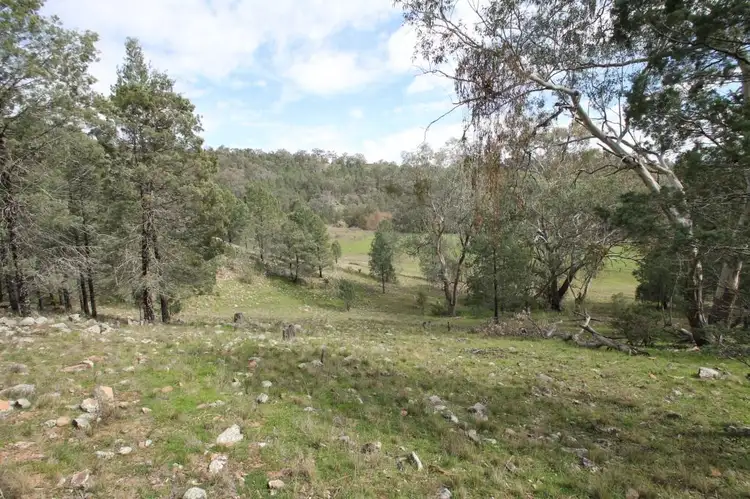 Main view of Homely rural property listing, Lot 12 Grandview Place, Quirindi NSW 2343