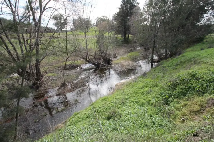 Fourth view of Homely rural property listing, Lot 12 Grandview Place, Quirindi NSW 2343