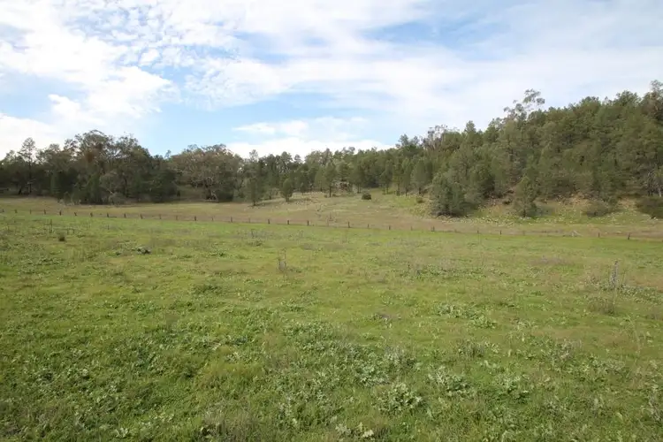 Seventh view of Homely rural property listing, Lot 12 Grandview Place, Quirindi NSW 2343