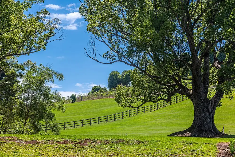 Main view of Homely land listing, Lot 4 150 Whian Road, Eureka NSW 2480