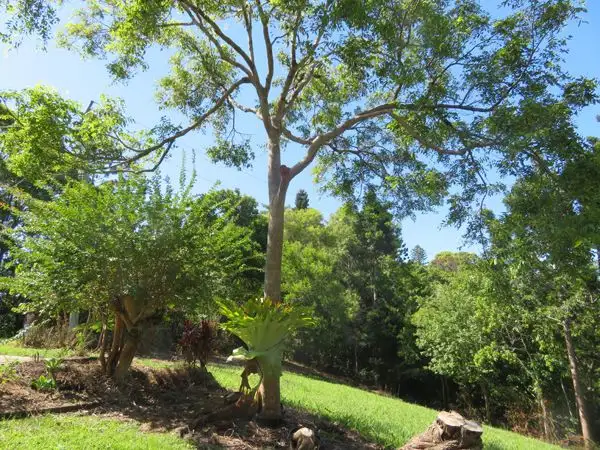 135 OLD BANGALOW Road