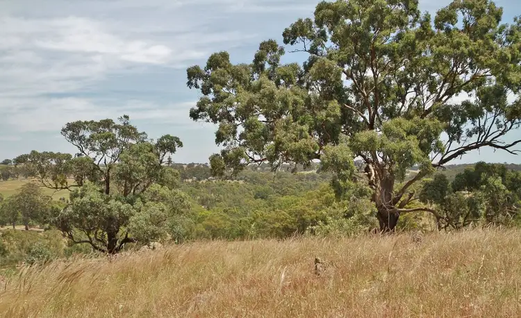Second view of Homely land listing, 545 Spring Flat Road, Heathcote VIC 3523