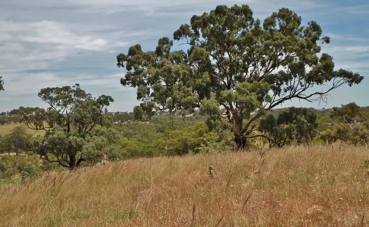 Sixth view of Homely land listing, 545 Spring Flat Road, Heathcote VIC 3523