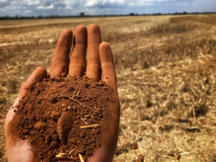 Sixth view of Homely rural property listing, KNC PLAINS 4026 Cockies Road, Tottenham NSW 2873