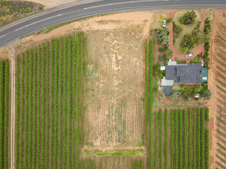 Third view of Homely land listing, Lot 1/9260 Calder Highway, Irymple VIC 3498