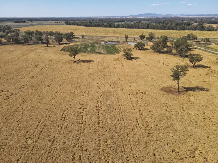 Sixth view of Homely rural property listing, 'Mingar' 35 Tomanbil Road, Forbes NSW 2871