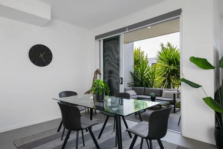 17 Round Bush Crescent, Maroochydore QLD 4558