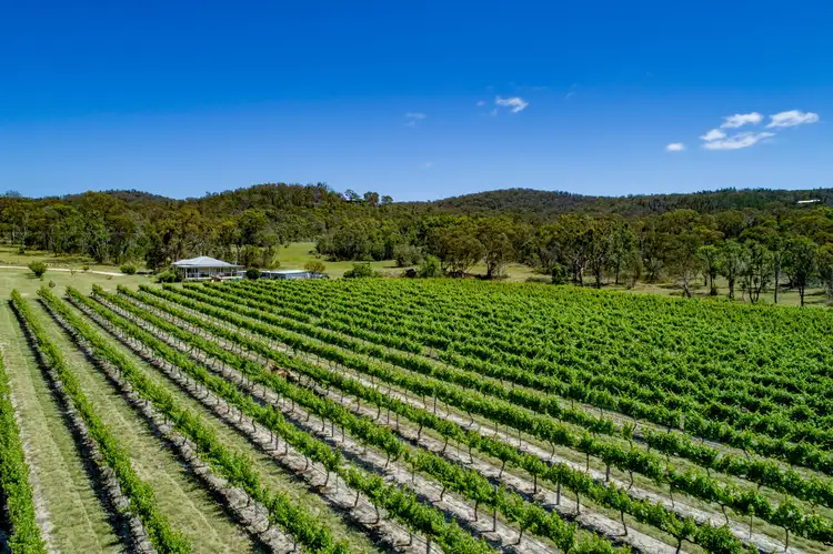 Seventh view of Homely rural property listing, 364 Mount Stirling Road, Glen Aplin QLD 4381