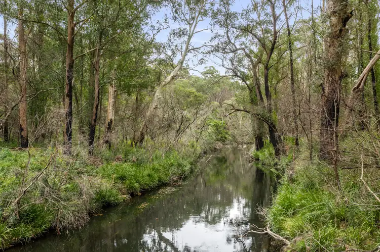 Main view of Homely rural property listing, 4161 Kings Highway, Monga, Braidwood NSW 2622