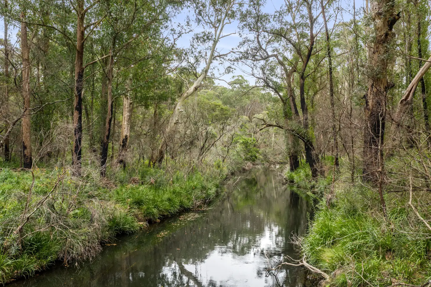 Main view of Homely rural property listing, 4161 Kings Highway, Monga, Braidwood NSW 2622