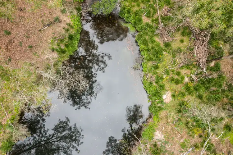 Third view of Homely rural property listing, 4161 Kings Highway, Monga, Braidwood NSW 2622