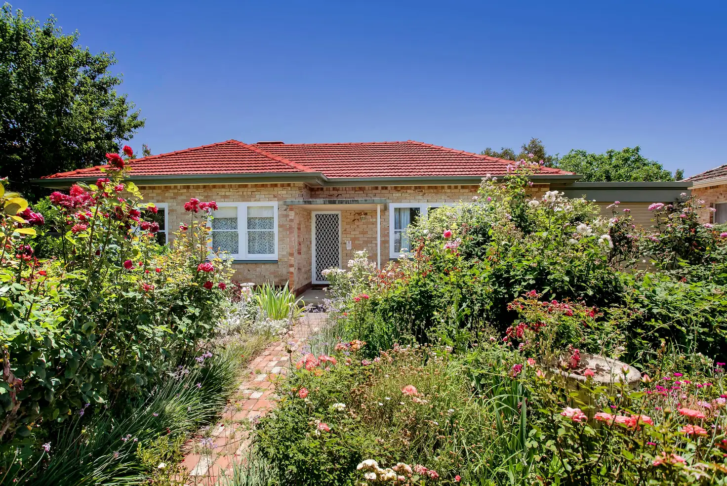 Main view of Homely house listing, 11 Lancelot Drive, Daw Park SA 5041
