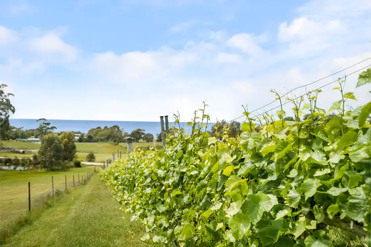 Main view of Homely house listing, 40 Harveys Farm Road, Bicheno TAS 7215
