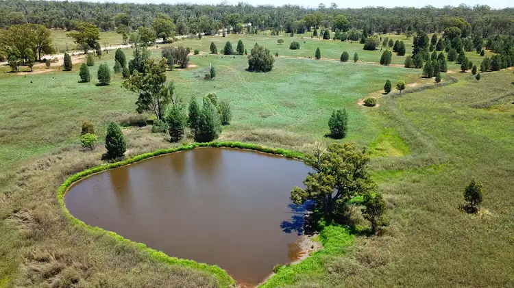 Elo 3498 Peak Hill - Tullamore Road, Peak Hill NSW 2869
