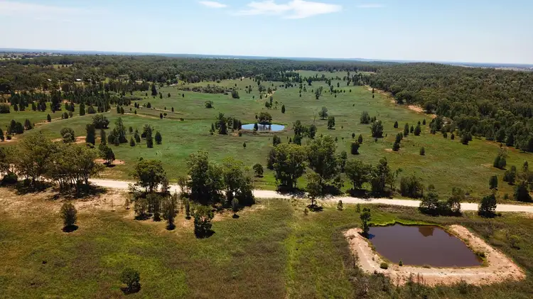 Second view of Homely rural property listing, Elo 3498 Peak Hill - Tullamore Road, Peak Hill NSW 2869