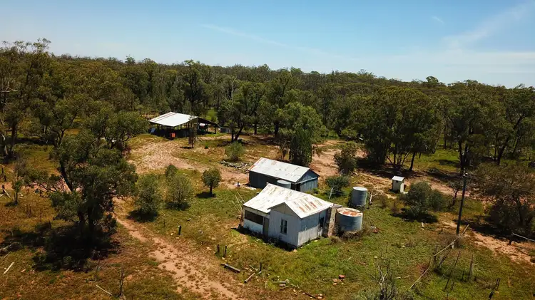 Fourth view of Homely rural property listing, Elo 3498 Peak Hill - Tullamore Road, Peak Hill NSW 2869