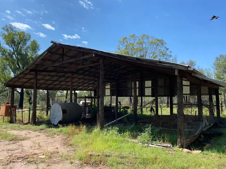 Fifth view of Homely rural property listing, Elo 3498 Peak Hill - Tullamore Road, Peak Hill NSW 2869