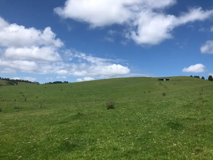 487 Rocky Creek Road, Dorrigo NSW 2453