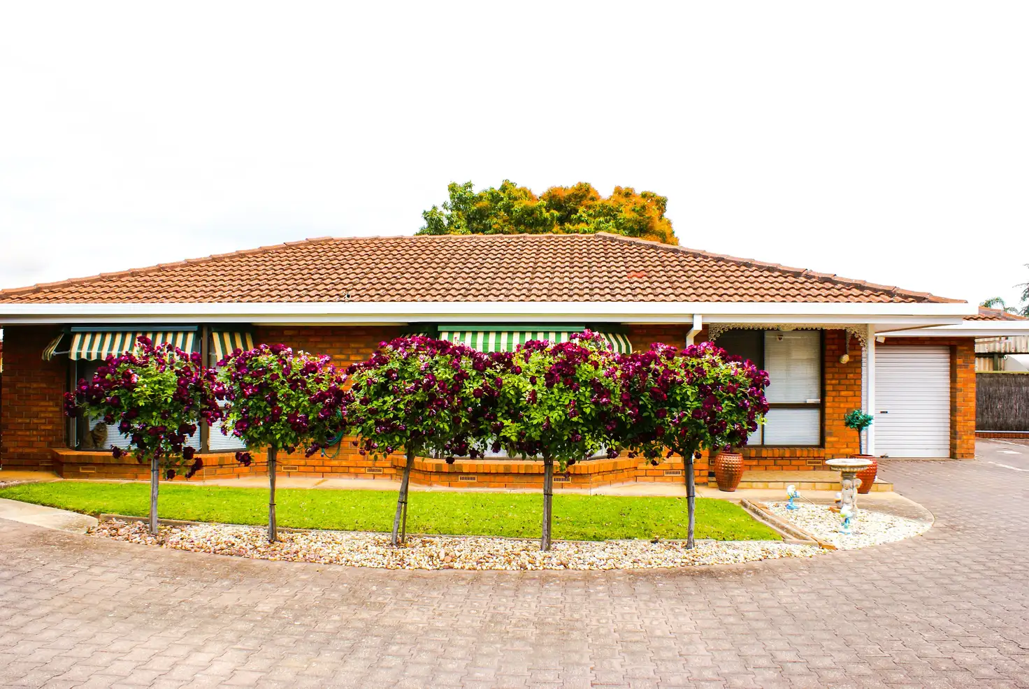 Main view of Homely house listing, 3/31 Warwick Street, Enfield SA 5085