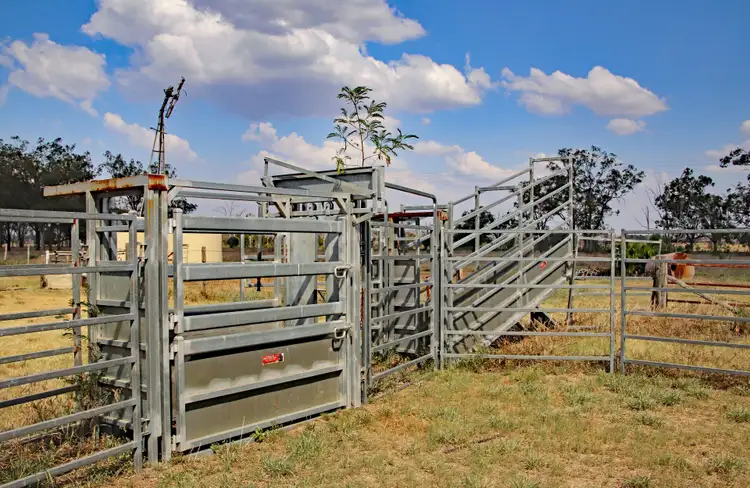 Fifth view of Homely rural property listing, 47413 Burnett Highway, Dululu QLD 4702