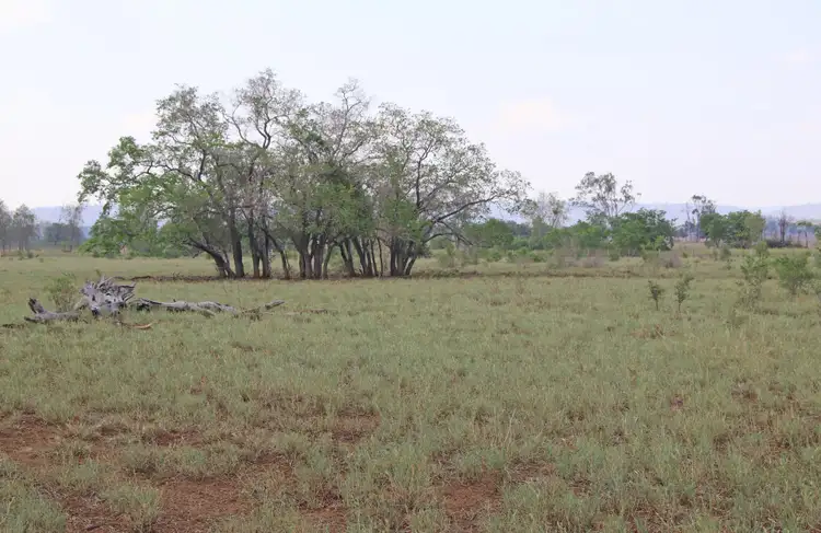 Seventh view of Homely rural property listing, 47413 Burnett Highway, Dululu QLD 4702