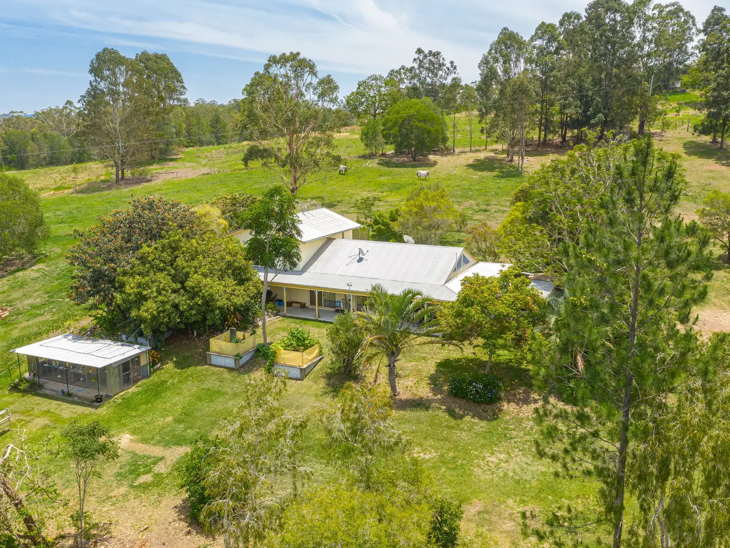 Main view of Homely house listing, 41 Knobby Glen Road, Kandanga QLD 4570