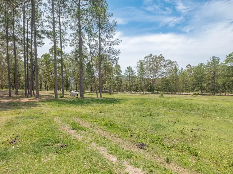 Seventh view of Homely house listing, 41 Knobby Glen Road, Kandanga QLD 4570