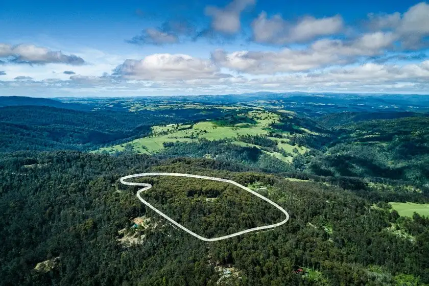 Main view of Homely rural property listing, 1313 Lower Bielsdown Road, Tallowood Ridge, Dorrigo NSW 2453