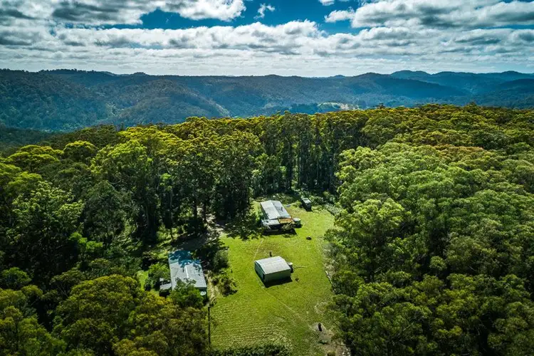Second view of Homely rural property listing, 1313 Lower Bielsdown Road, Tallowood Ridge, Dorrigo NSW 2453