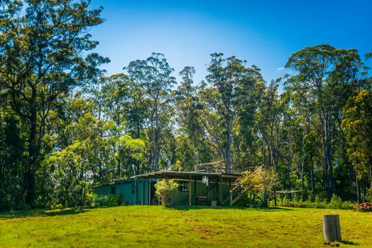 Third view of Homely rural property listing, 1313 Lower Bielsdown Road, Tallowood Ridge, Dorrigo NSW 2453