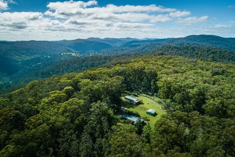 Fourth view of Homely rural property listing, 1313 Lower Bielsdown Road, Tallowood Ridge, Dorrigo NSW 2453
