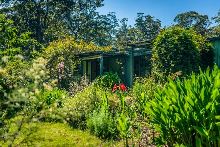 Fifth view of Homely rural property listing, 1313 Lower Bielsdown Road, Tallowood Ridge, Dorrigo NSW 2453