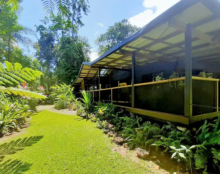 Fifth view of Homely house listing, 9 Maple Road, Cow Bay, Daintree QLD 4873