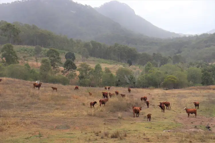 Sixth view of Homely rural property listing, 45 North Branch Road, Mount Perry QLD 4671