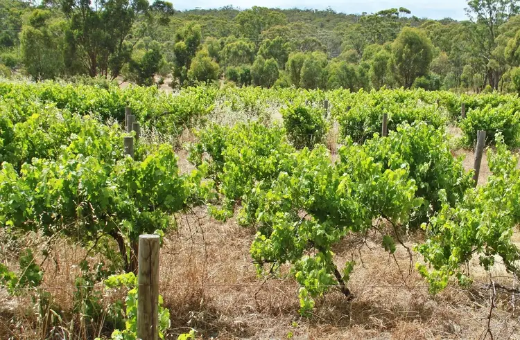 Third view of Homely land listing, 1000 Northern Highway, Heathcote VIC 3523