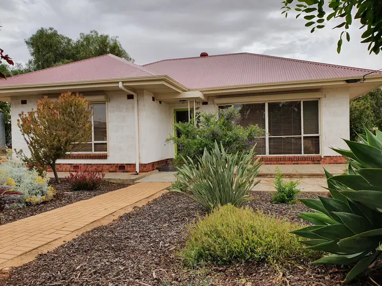 14 McIntosh Street, Loxton SA 5333