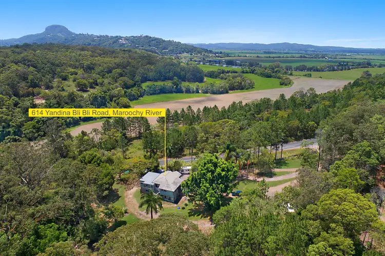 Fifth view of Homely house listing, 614 Yandina Bli Bli Road, Maroochy River QLD 4561