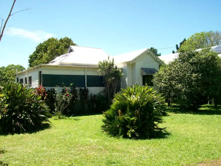 Main view of Homely house listing, 31 Hammond Street, Bellingen NSW 2454