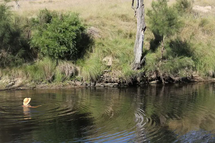 Second view of Homely rural property listing, 77 Tarban Loop Road, Tenterfield NSW 2372