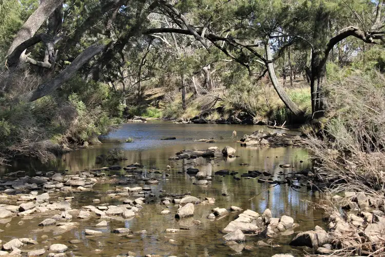 Fourth view of Homely rural property listing, 77 Tarban Loop Road, Tenterfield NSW 2372