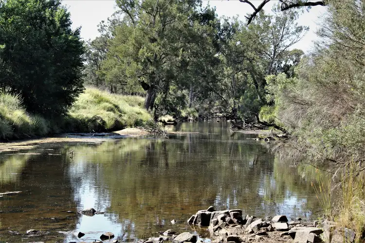 Fifth view of Homely rural property listing, 77 Tarban Loop Road, Tenterfield NSW 2372