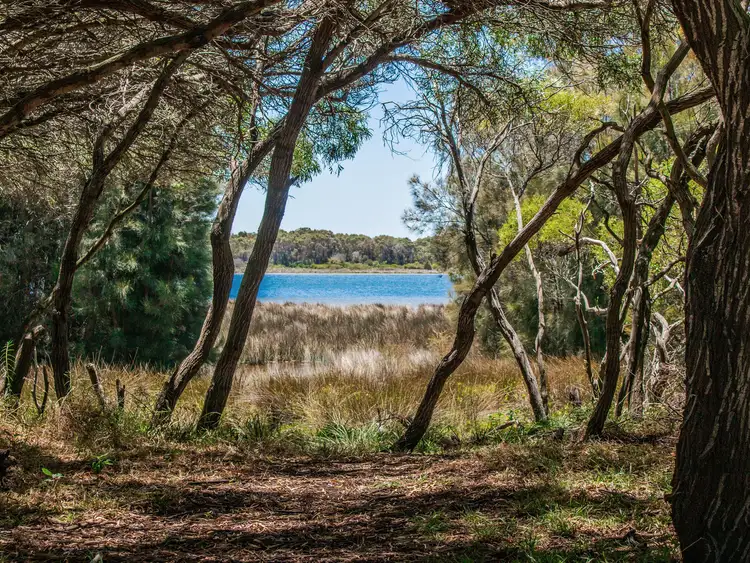 Third view of Homely semi-detached listing, 4b Richmond Avenue, Shoalwater WA 6169