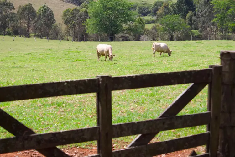 Sixth view of Homely rural property listing, Address available on request