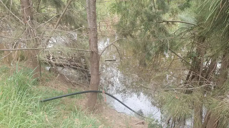 Second view of Homely rural property listing, L9 McRae Road, Emu Creek QLD 4355
